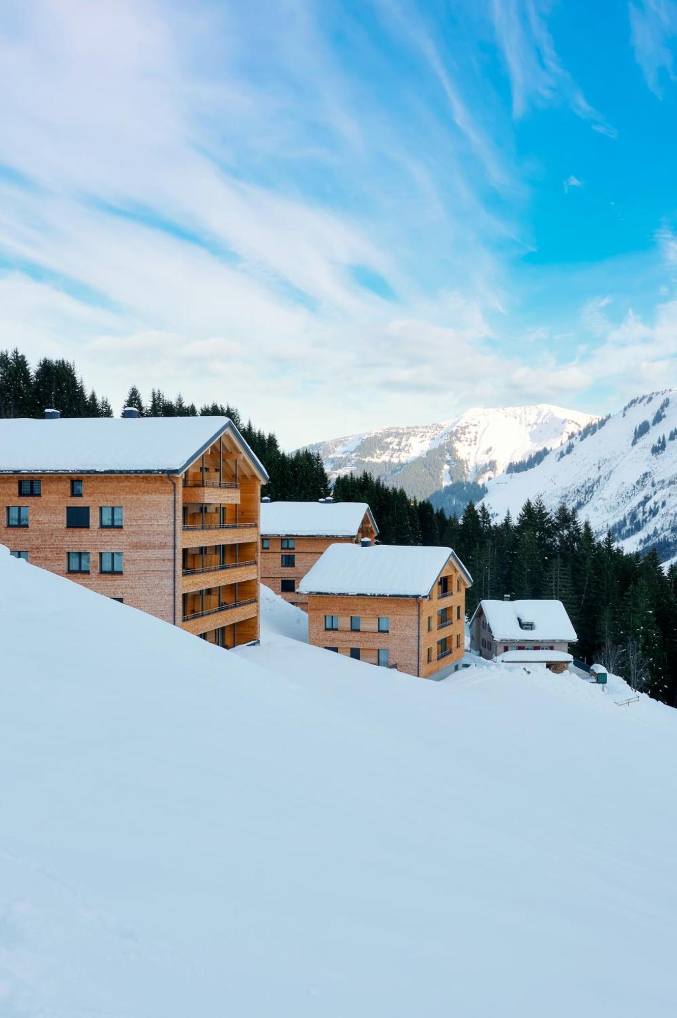 Апартаменты Alpenstolz Damuels Haus 2 - Stilvoll Urlauben In Den Bergen Экстерьер фото
